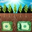 image-ia-plantes-dollars-sol