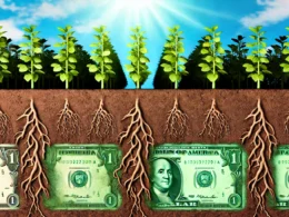 image-ia-plantes-dollars-sol